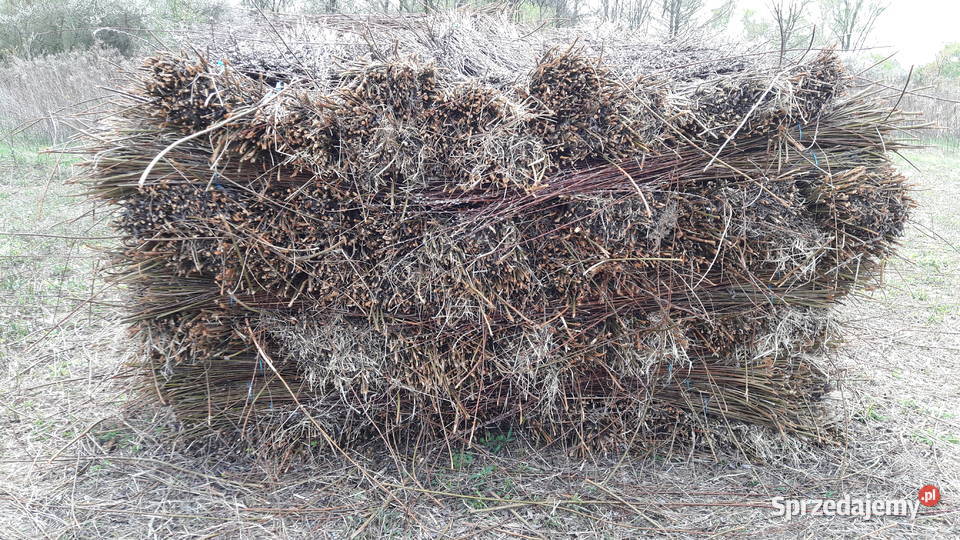 Wiklinę wykoszoną 045ha Sarzyna