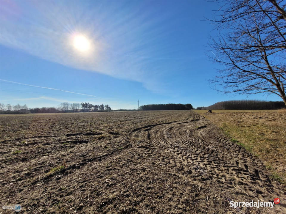 Dom wolnostojący Nagłowice 60m2