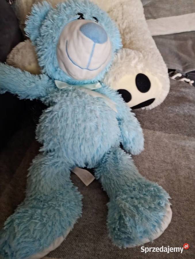 sprzedam misia Mosina