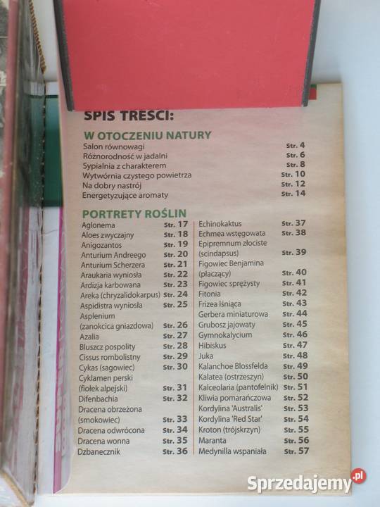 Kwiaty w domu dom i ogród Kraków