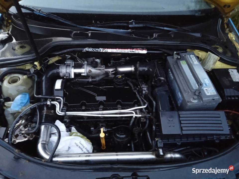 Audi A3 8p 19 250Wszystkie części Rok produkcji 2004 lubelskie
