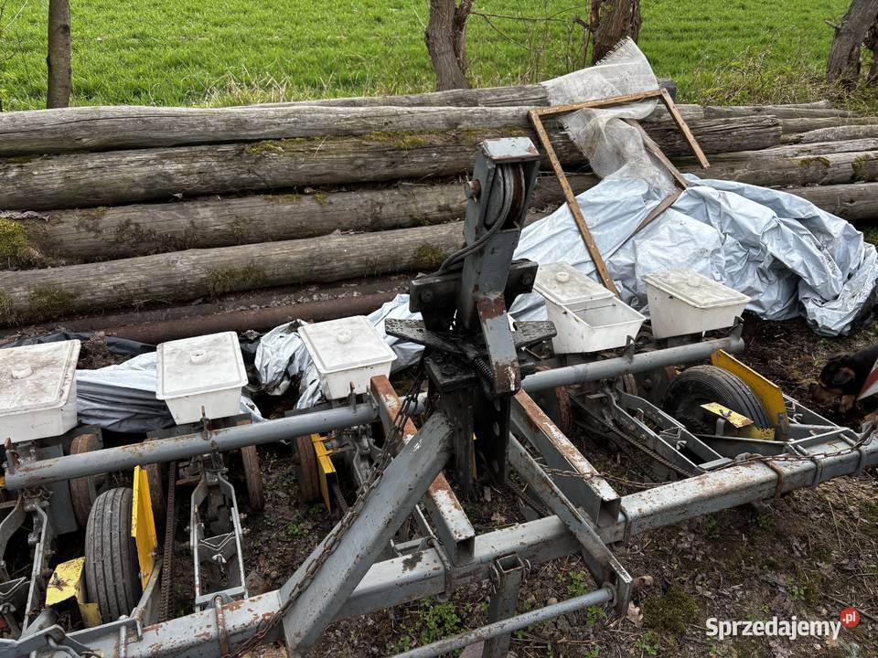 Siewnik do buraków Gamma Czermin sprzedam