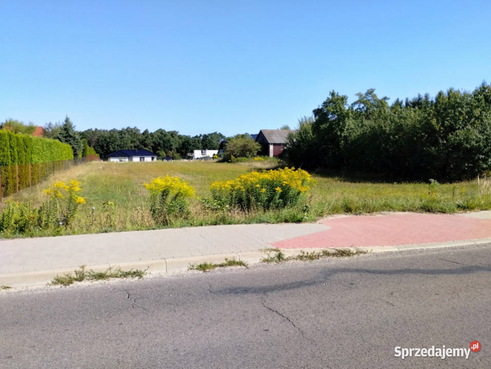 sprzedaży gruntu 1900m2 Prawiedniki