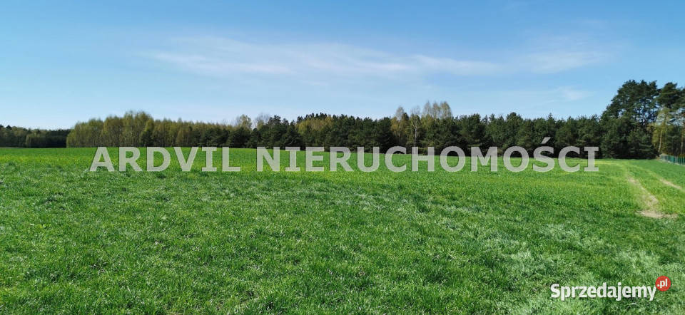 Grunt 1646m2 Kamionka