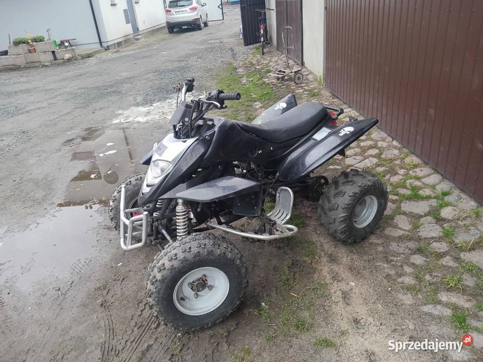 Shinray 250 z homologacją wielkopolskie Jutrosin