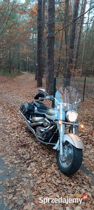 Suzuki VL 1500 Motoryzacja Sokołów Małopolski