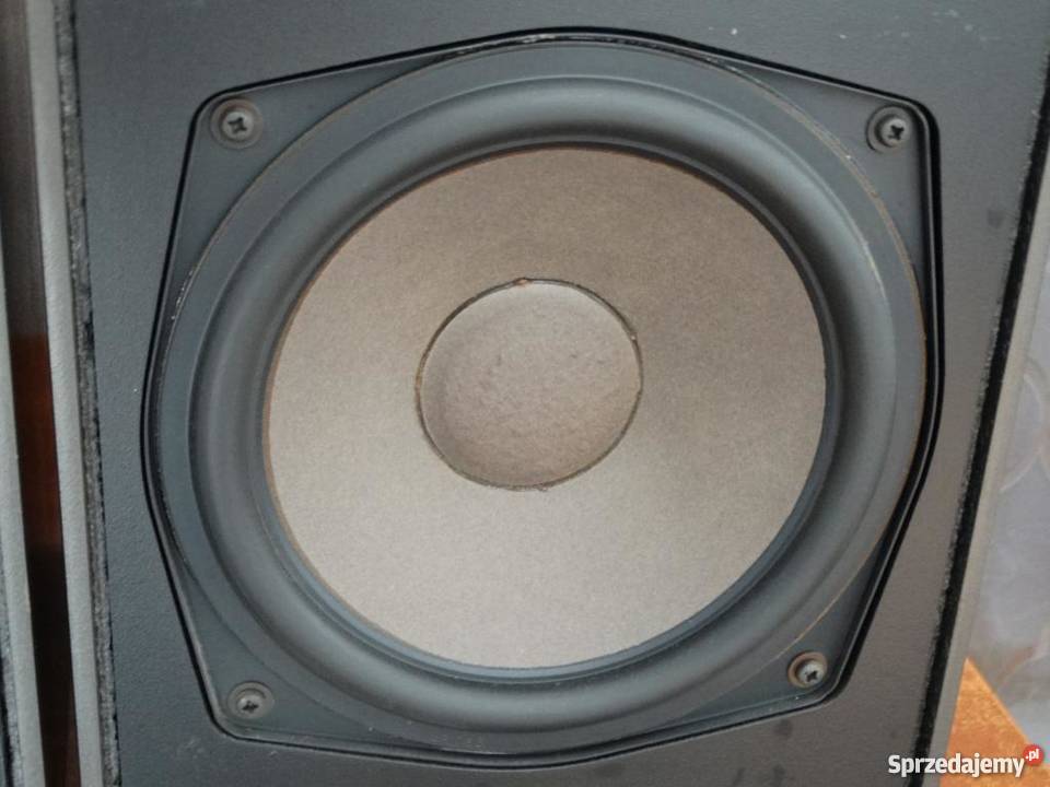 Monitor Wega Direct 2 Sony Vintage WYSYŁKA Jasło