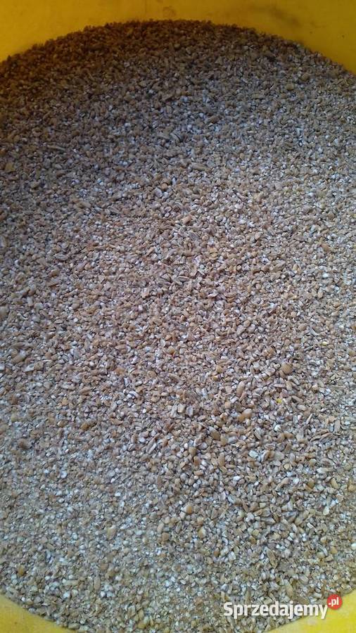 Śruta mieszanka kukurydziana pszeniczna Solec Kujawski sprzedam