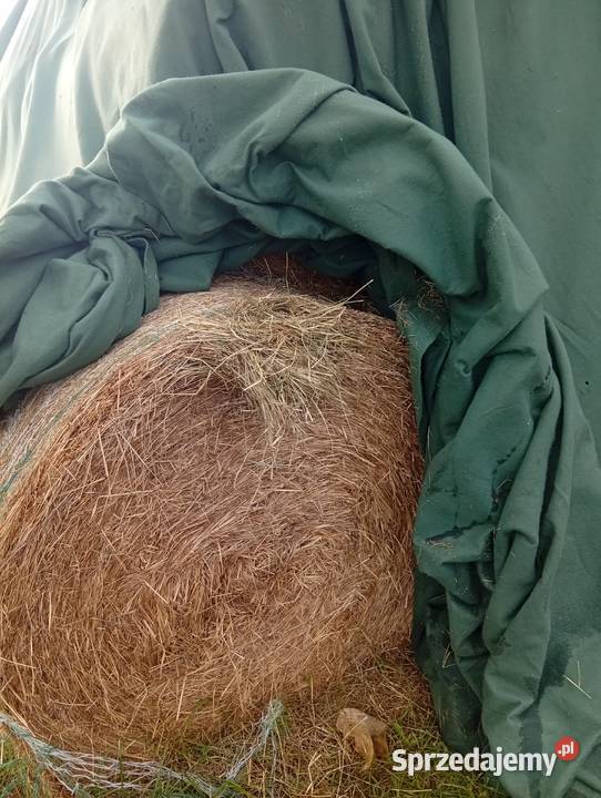 Siano Ząbkowice Śląskie