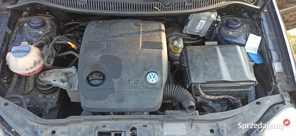 Volkswagen Polo 2004r 47 47000km Polo śląskie Orzesze