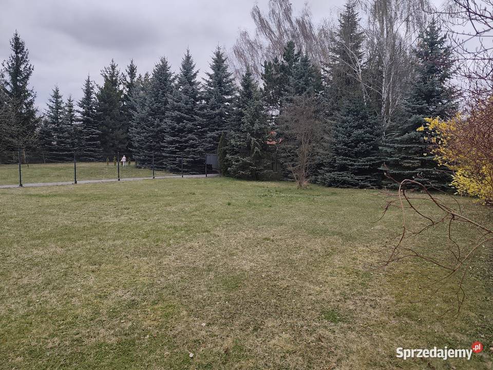 Działka 962 m Wojkowice ogrodzona równa lasu i prąd Sprzedaż śląskie