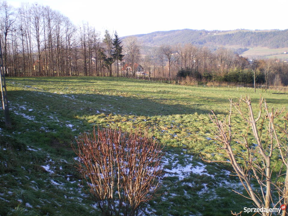 DZIAŁKA 16ar LipoweLIMANOWA Limanowa