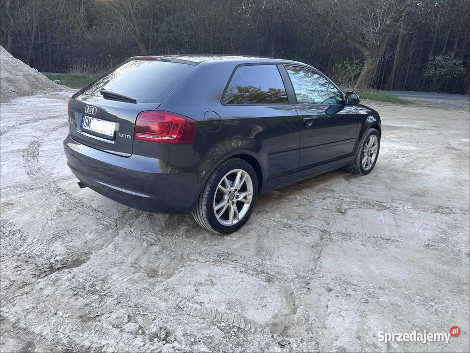 Audi A3 8PA 16TDI 105 Żarki