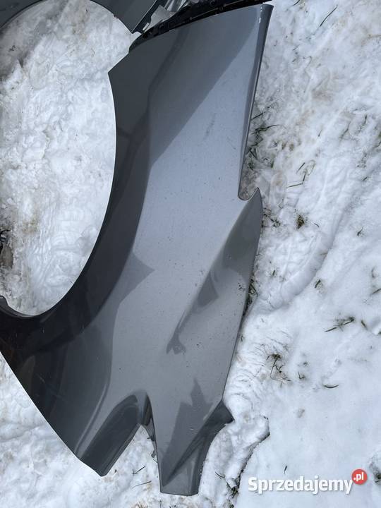 Nissan leaf Błotnik lewy prawy osobowe Poznań