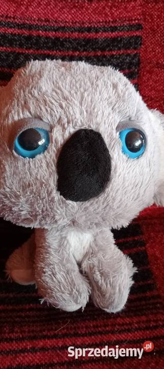 Miś koala maskotka pluszak Nowy Sącz