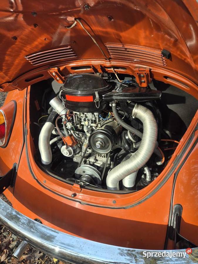 Volkswagen Garbus Toruń