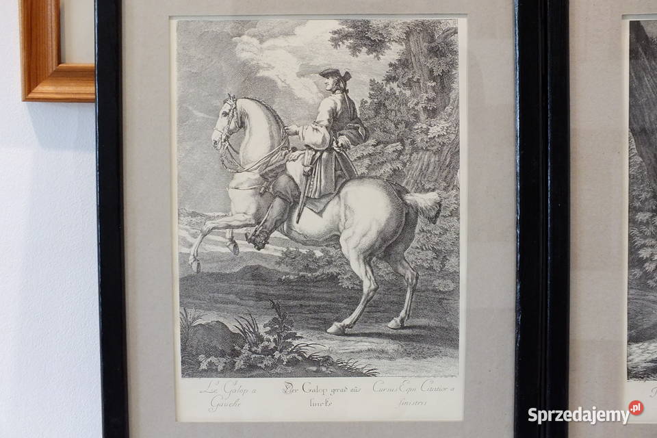 Johann Elias Ridinger Zestaw 2 miedziorytów 1734 Malarstwo Lubin