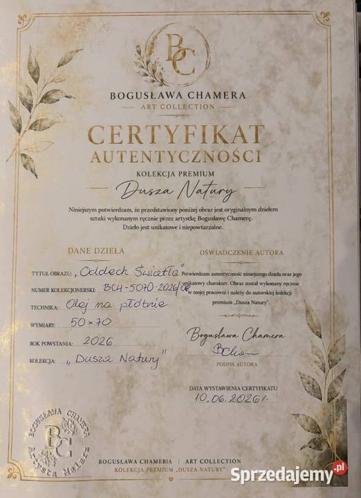 Obraz olejny Malarstwo Malarstwo Koszalin sprzedam