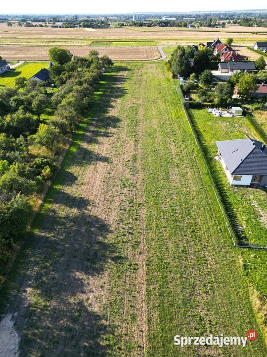 Zamość Karolówka działka budowlana 10 arów z WZ budowlana