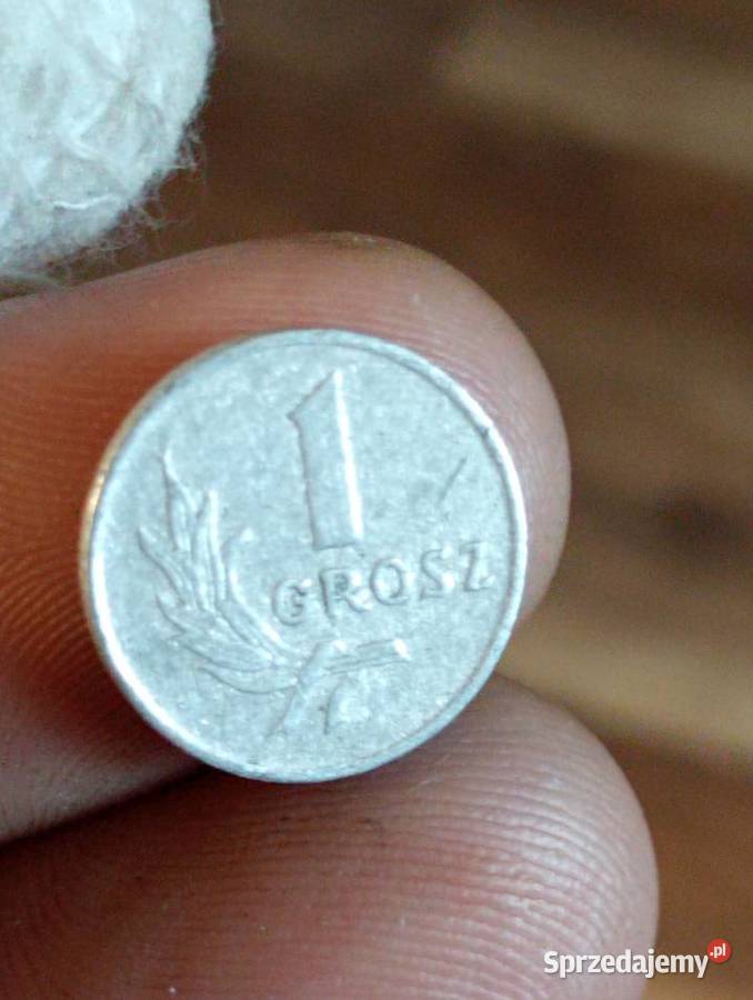 Sprzedam piaty 1 gr 1949 r bzm Chełm sprzedam