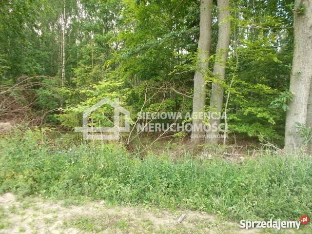 sprzedaży gruntu 41960m2