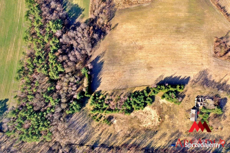 sprzedaży działki 1678m2 Czerskie Rumunki