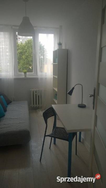 3pok 52met Kruszwickiej ROZKŁADPIWNICAWINDA Wynajem Wrocław