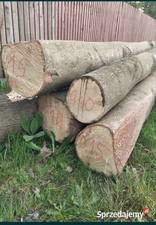 Jesion niecały kubik lipa niecały kubik Korczowiska