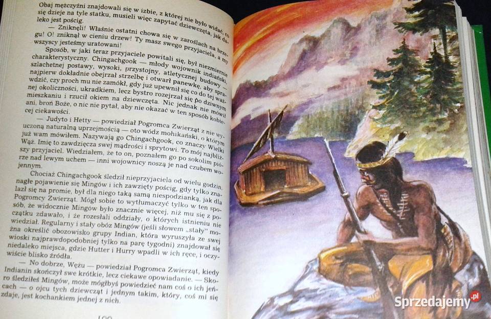Pogromca zwierząt James Fenimore Cooper Rok wydania 1994 Kultura i Rozrywka Chełm sprzedam
