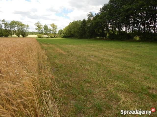 Ziemie 2h Małe Radowiska