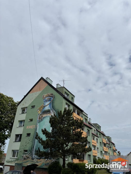 sprzedaży mieszkania 46m2 2 pokoje Trzebiatów