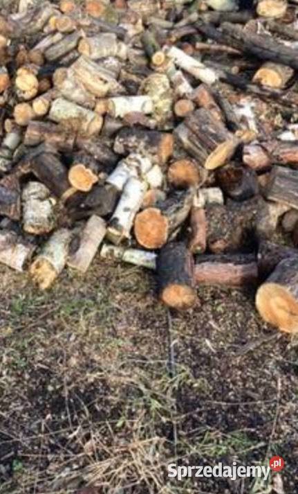 tanie drewno opałowe niskiej jakości dowóz Opał Ogrzewanie Oborniki Śląskie