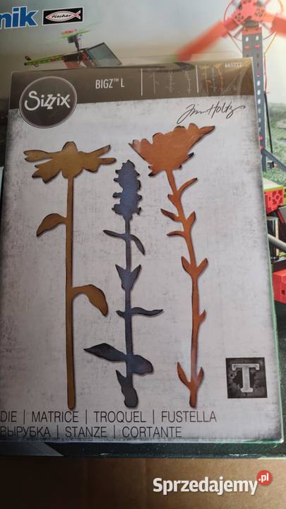 szablon do wykrawania Książ Wielkopolski