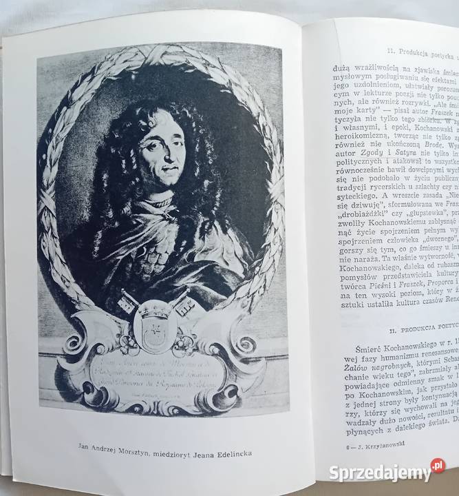 Julian Krzyżanowski Dzieje literatury polskiej Koźminek