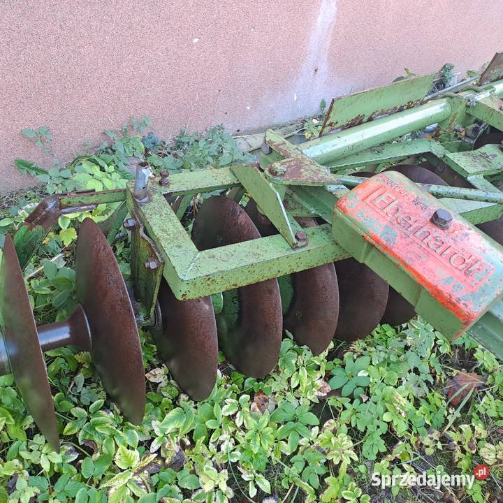 Talerzówka Eberhardt nieuszkodzony Piórków-Kolonia