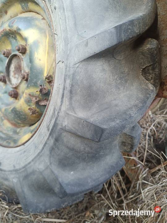 Koła 75016 Dębica jodełka sam es małopolskie Włosienica