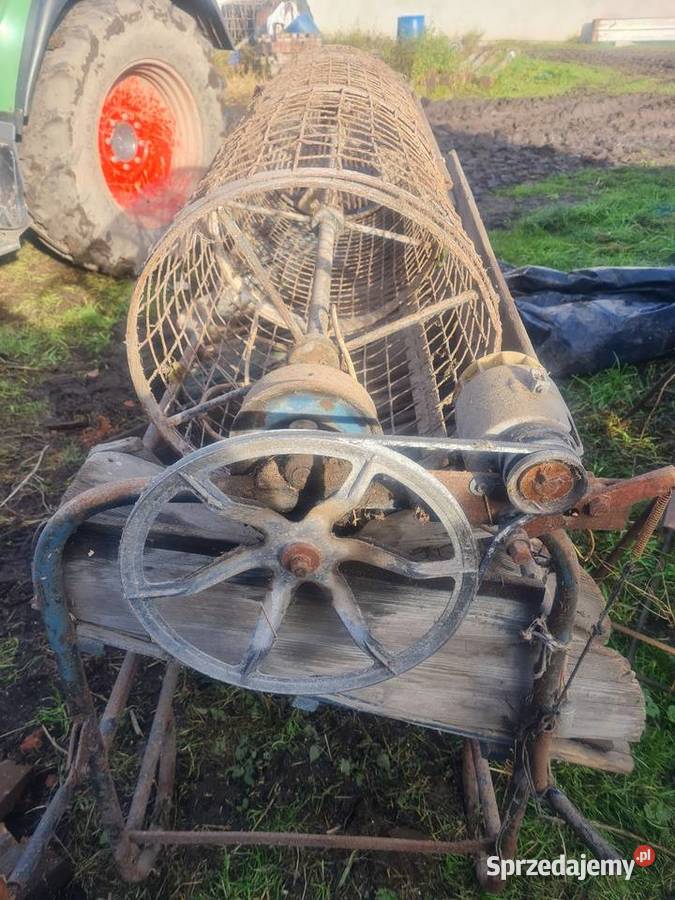 Sortownik do ziemniakow Nowy Tomyśl