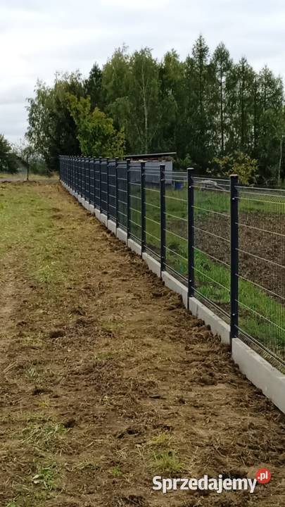 Kompleksowe wykonanie ogrodzeń Dębowiec