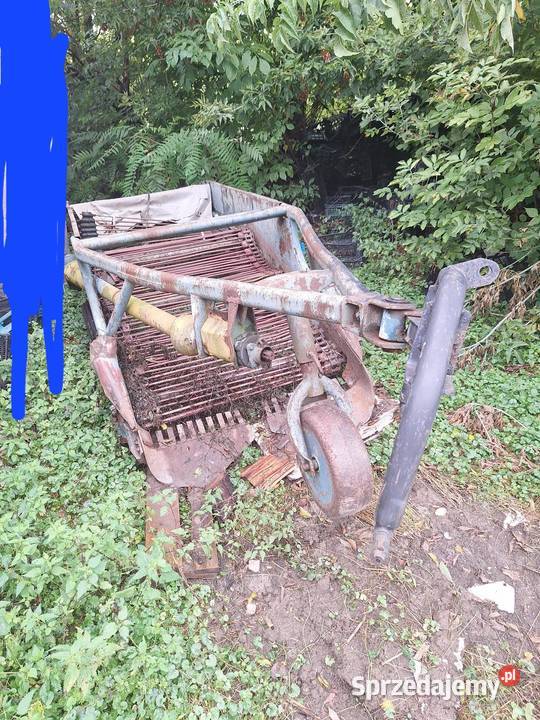 Sprzedam kopacze elewatorową Kopaczki