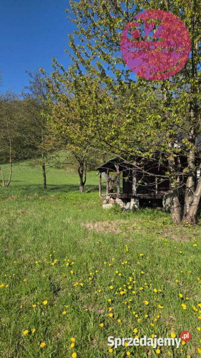 Działka budowlana w Rdziostowie gmina Chełmiec Sprzedaż Rdziostów