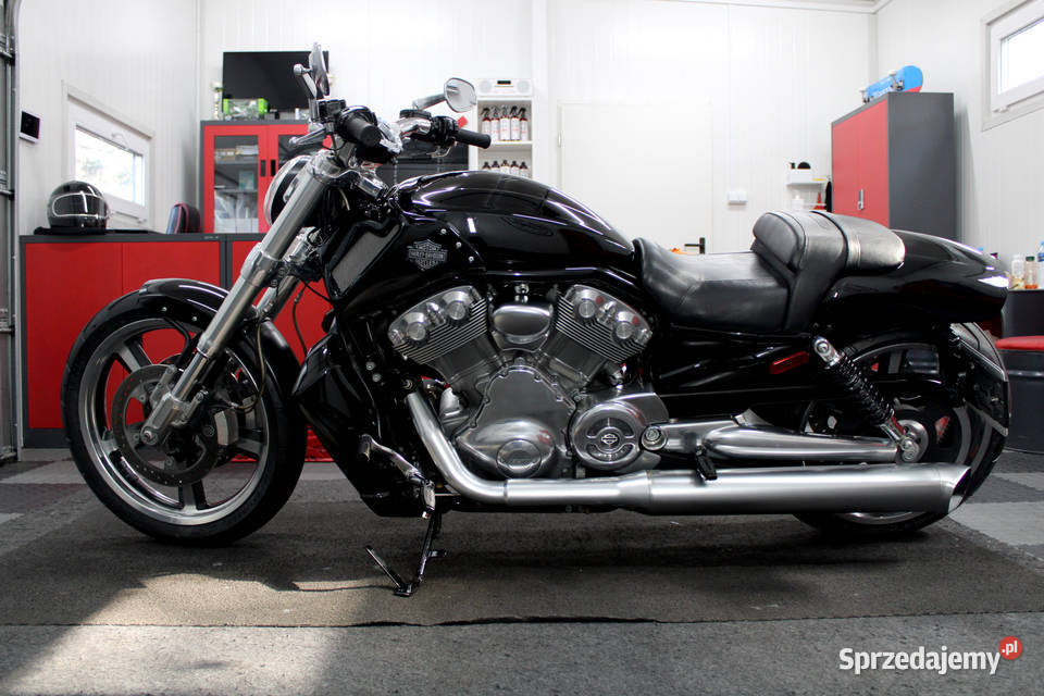 HD VROD MUSCLE w pełnym oryginale Unikat bezwypadkowy sprzedam