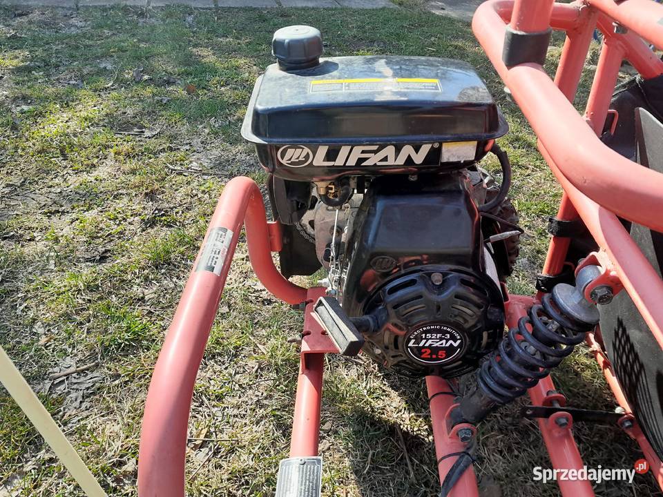 gokardqad dzieci Kętrzyn