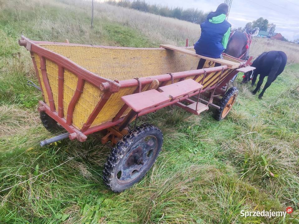 Sprzedam wóz konny wasąg Łęka