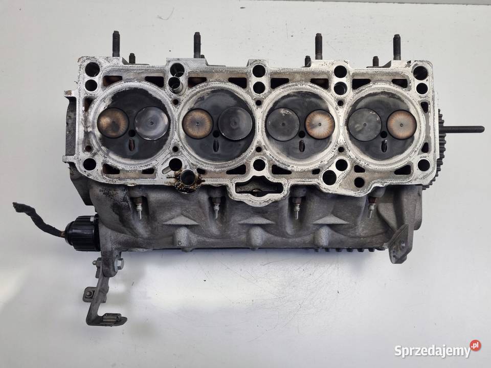 GŁOWICA CYLINDRÓW Skoda Audi VW Seat 19 TDI Rudka
