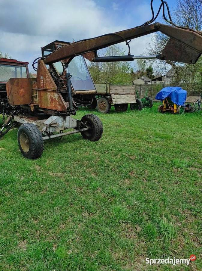 Cyklop Polski Wielkie Oczy