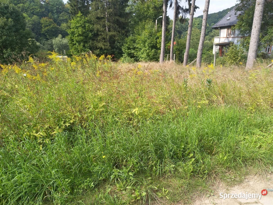 sprzedaży gruntu Lubachów