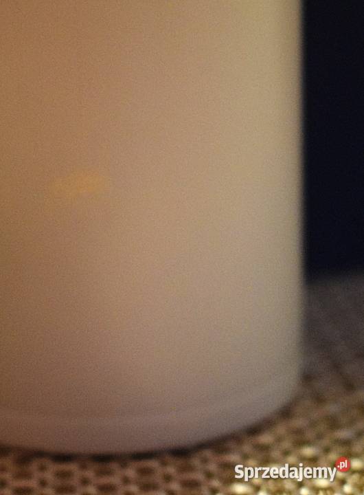 Termos Spiderman solidny nierdzewny z serii Chełmno