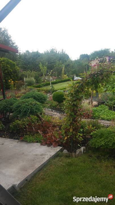 Sprzedam działkę ROD Port Centralny Szczecin