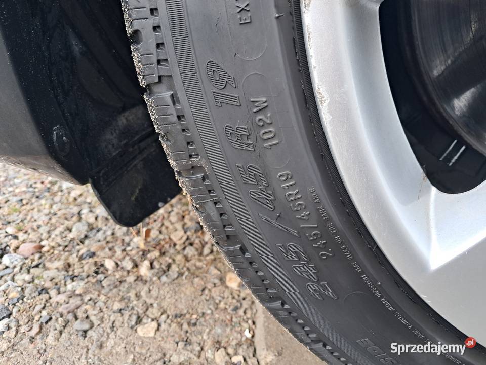 Michelin Pilot Alpin PA4 24545 R19 Poznań