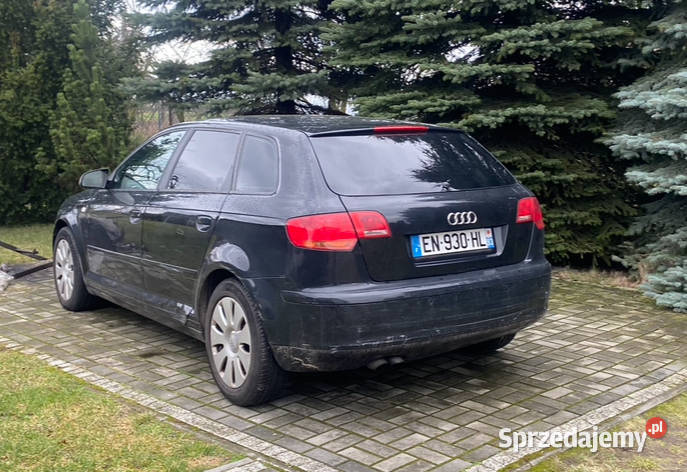 Audi a3 8P na części 20 tdi czarny A3 wielkopolskie Strzałkowo